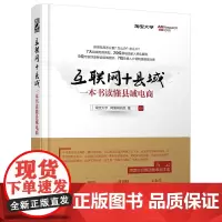 互联网 县域:一本书读懂县域电商(,请致电010-57993380) 淘宝大学 电子工业出版社 正版书籍