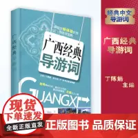 广西经典导游词68篇各民族特色介绍等 新视觉新体验优秀导游词宝典 全国导游考试系列丛书9787563718160丁陈娟主