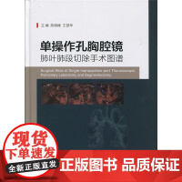 单操作孔胸腔镜肺叶肺段切除手术图谱 复旦大学图书籍