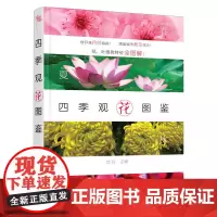 四季观花图鉴 赵玲 化学工业出版社 正版书籍