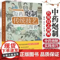 正版 中药炮制传统技艺图典 中药炮制技术中药炮制大全 医学 药学 中药 中国中医药出版社 9787513215268