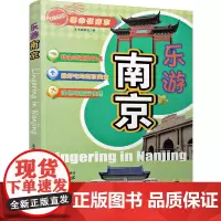 乐游南京