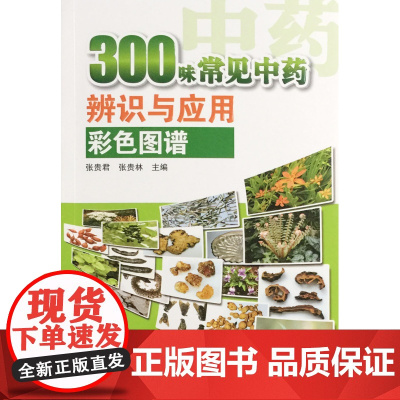正版300味常见中药辨识与应用彩色图谱 张贵君等编 中国中医药出版社