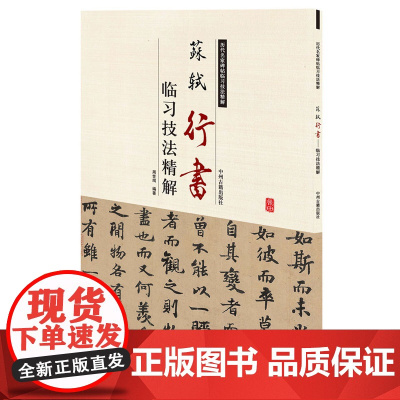 预售正月初十恢复发货苏轼行书临习技法精解 历代名家碑帖临习技法精解 正版书籍 中州古籍出版社春节快乐
