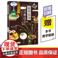 蔬果盘饰与切雕技法(版) 果蔬雕刻书 盘饰基础技法教程 花式果盘精解 食品雕刻入门技巧 水果蔬菜雕刻 盘式造型书