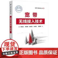 宽带无线接入技术 罗振东等 电子工业出版社 正版书籍