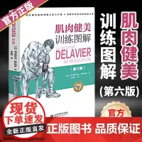 [新版*第6版]肌肉健美训练图解 弗雷德里男性身材肌肉训练型男健美专业人体解剖插图正确运动技巧解说健身肌肉技巧方法说明书