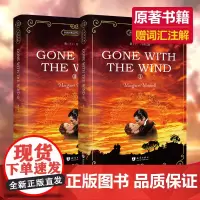 飘英文版全套2册 又名乱世佳人经典名著书籍外国文学名著中外名著全英文版 英文版原版经典小说初中高中大学课外读物学生阅读