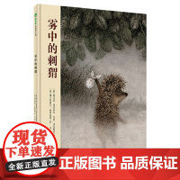 魔法象绘本 雾中的刺猬 4-12岁 儿童图画书 爱与幸福 文化美术奖 柳田邦男先生严选 (俄)谢尔盖科兹洛夫 广西