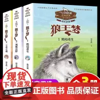 动物小说大王沈石溪作品狼王梦注音版读本儿童读物全3册绝境重生魂断荒野王者之魂6-9周岁儿童故事读物小学生一二年级课外阅读