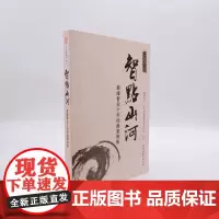 智点山河巅峰智业十年经典案9787563724819