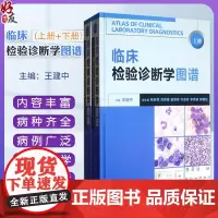 临床检验诊断学图谱 上下册2本组合套装 王建中主编人民卫生出版社 检验医学西医临床诊断学图谱临床形态学检验诊断工具书和参