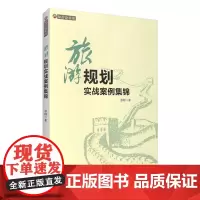 旅游规划实战案例集锦9787563733392原群论旅游原群主编旅游教育出版社