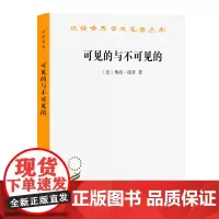 可见的与不可见的(汉译名著本) [法]梅洛-庞蒂 著 罗国祥 译 商务印书馆