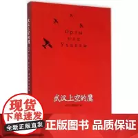 武汉上空的鹰