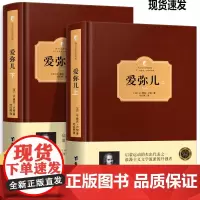 精装版 爱弥儿 卢梭 上下全本2册精装完整版无删减 西方百年学术经典小说形式写教育学论著与理想爱弥尔学校儿童教育书籍