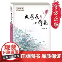 [正版]《大荷花 小荷花》孟宪明 10-15岁儿童文学长篇小说 抗战题材