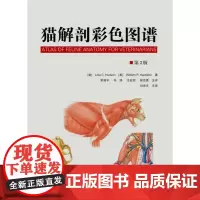 猫解剖彩色图谱 猫解剖学彩色图谱 猫解剖学书籍 猫的解剖构造 9787565519369
