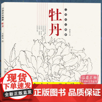 牡丹 白描技法精解 中国画花草植物工笔画白描底稿书白描勾线画谱美术绘画初学者入门到精通基础教程 线描写生范例画家写生画