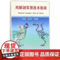 鸡解剖实用技术指南 李昌武 郭双双等编著 9787565518799 鸡解剖图谱
