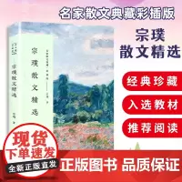 宗璞散文精选 名家散文典藏彩插版 三松堂断忆/哭小弟/丁香结/紫藤萝瀑布 宗璞散文集中学生课外阅读书籍 现当代文学
