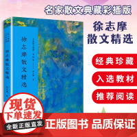 徐志摩散文精选 彩插版名家散文典藏 徐志摩散文集 我所知道的康桥/翡冷翠山居闲话/自剖/落叶 现当代文学书籍正版 长江文