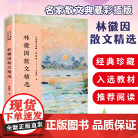 林徽因散文精选 彩插版名家散文典藏 林徽因散文集 窗子以外/纪念志摩去世四周年/蛛丝和梅花 现当代文学 林徽因文集