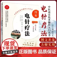 无视频-图解电针疗法 中医适宜技术操作入门丛书 中医入门 中医内