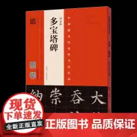 颜真卿《多宝塔碑》(宋拓本 翁志飞临本) 视频全覆盖 欧体楷书毛笔字帖基础技法讲解临摹 四色彩印成人初学者书法入门自学基