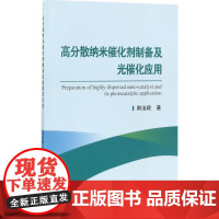 高分散纳米催化剂制备及光催化应用 荆洁颖 著 化学工业专业科技 正版图书籍 冶金工业出版社