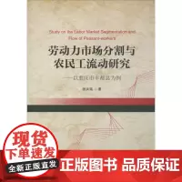 劳动力市场分割与农民工流动研究 张洪铭 著 著 经济理论经管、励志 正版图书籍 中国金融出版社