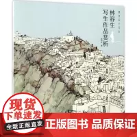 跟名家去写生林容生写生作品赏析 林容生 著 工艺美术(新)艺术 正版图书籍 福建美术出版社