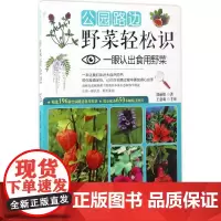 公园路边野菜轻松识 郑丽妞 著 心理健康生活 正版图书籍 中国水利水电出版社