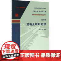 混凝土缺陷处理 戈文武 等 编著 著 建筑/水利(新)专业科技 正版图书籍 中国水利水电出版社