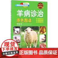 羊病诊治原色图谱 陈怀涛 编 著 畜牧/养殖专业科技 正版图书籍 机械工业出版社