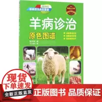 羊病诊治原色图谱 陈怀涛 编 著 畜牧/养殖专业科技 正版图书籍 机械工业出版社