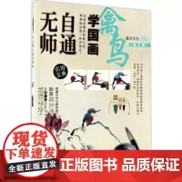无师自通学国画第2版禽鸟 灌木文化 编著 工艺美术(新)艺术 正版图书籍 人民邮电出版社