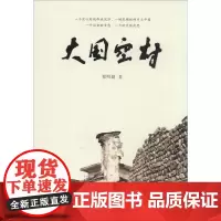 大国空村 程明盛 著 著 现代/当代文学文学 正版图书籍 暨南大学出版社