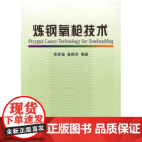 炼钢氧枪技术 袁章福 等编著 著作 著 冶金工业专业科技 正版图书籍 冶金工业出版社