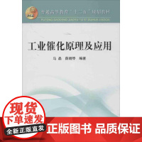 工业催化原理及应用 马晶 等 著 冶金工业专业科技 正版图书籍 冶金工业出版社