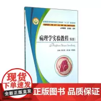 病理学实验教程(第2版)/邵少慰 邵少慰//刘立新//李振喜 著 大学教材大中专 正版图书籍 华中科技大学出版社
