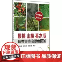 樱桃 山楂 番木瓜病虫害防治原色图鉴 无 著 吕佩珂 等 编 农业基础科学专业科技 正版图书籍 化学工业出版社