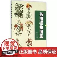 药用植物图鉴 隋春 主编 著 药学生活 正版图书籍 中国农业科学技术出版社