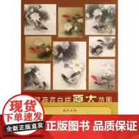 工笔荷花白描原大范图 路雨年 绘 工艺美术(新)艺术 正版图书籍 天津人民美术出版社
