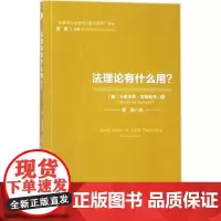 法理论有什么用 (德)马蒂亚斯·耶施泰特(Matthias Jestaedt) 著;雷磊 译 法学理论社科 正版图书籍