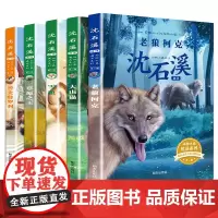 沈石溪动物小说精品全集全套正版狼王梦作者动物小说大王沈石溪的书珍藏版系列儿童文学三四年级小学生课外阅读故事书籍