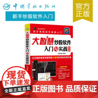 正版 大智慧炒股软件入门与实战精解 炒股书 股票书 炒股软件