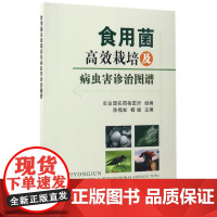 食用菌高效栽培及病虫害诊治图谱 农业部农药检定所 编著 食用菌栽培技术 食用菌病虫害防治技术 食用菌栽培技术