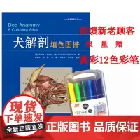 犬解剖填色图谱 Robert A. Kainer 等 著 常建宇 等 译 9787565518225 犬解剖书籍