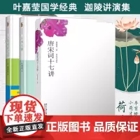 唐宋词十七讲+人间词话七讲+小词大雅共3册 词学宗师叶嘉莹女士之作解读王国维文学当代中国古典诗词诗经书楚辞诗词文学史古典